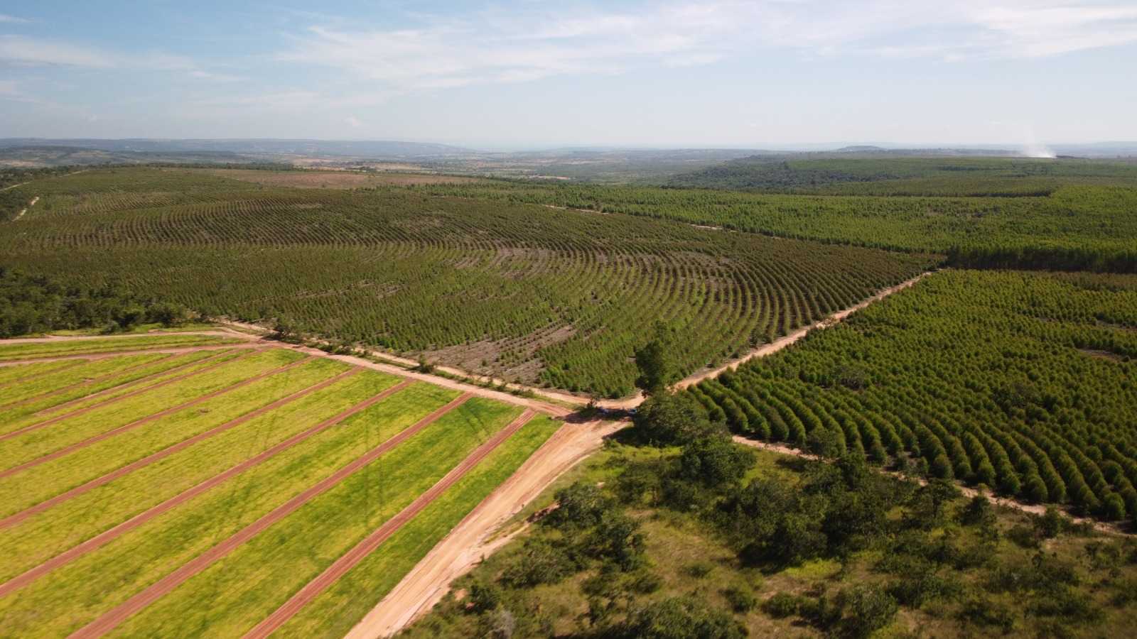 Fazenda à venda com 1 quarto, 26m² - Foto 2