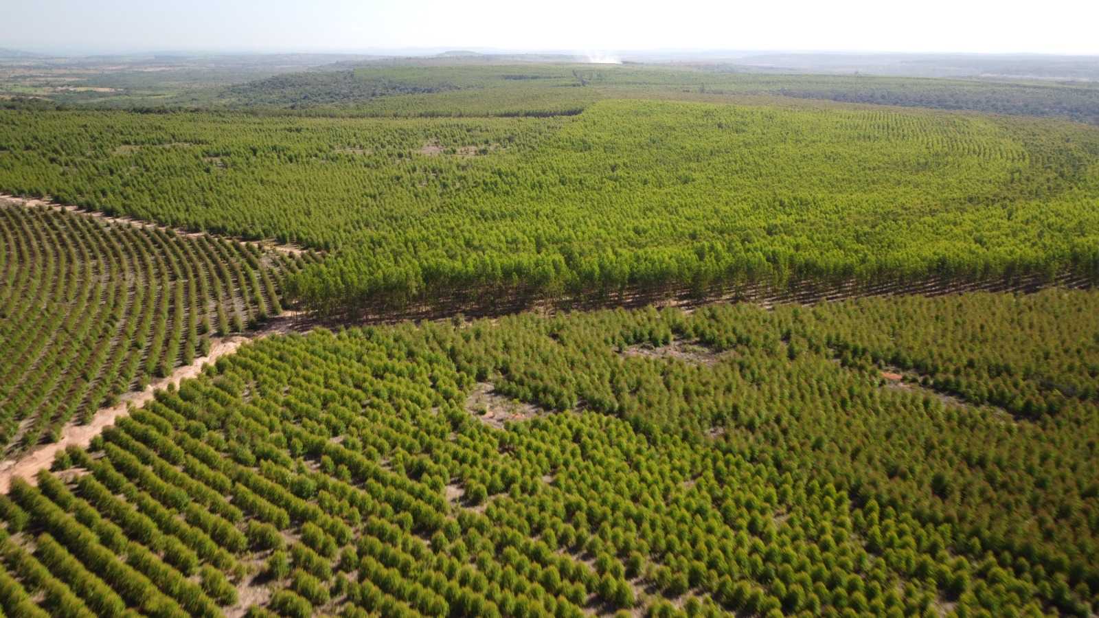 Fazenda à venda com 1 quarto, 26m² - Foto 4