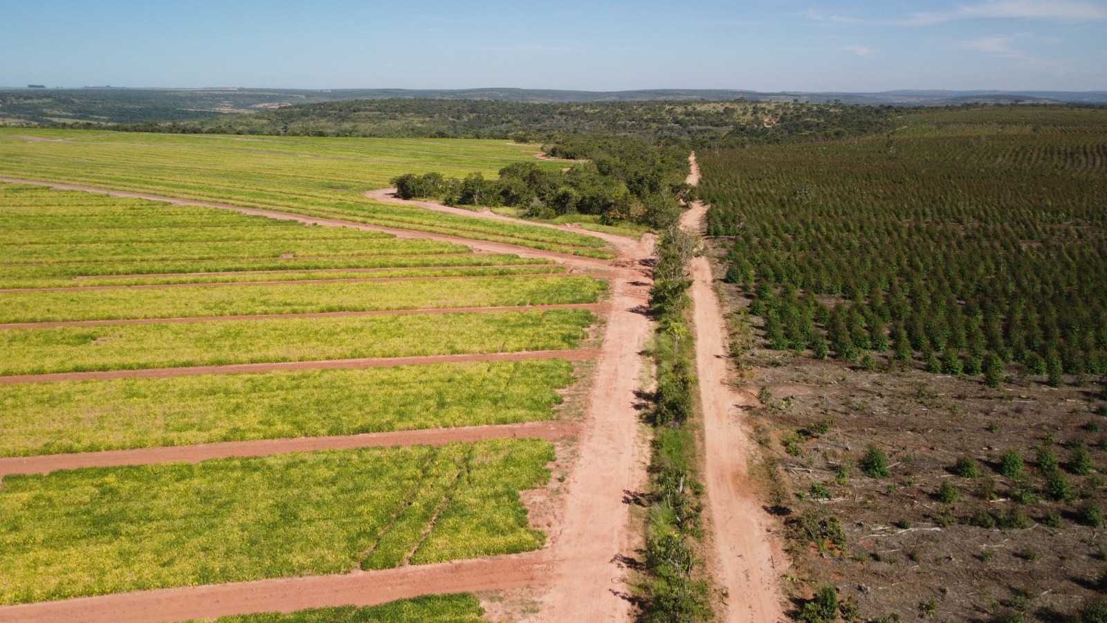 Fazenda à venda com 1 quarto, 26m² - Foto 1