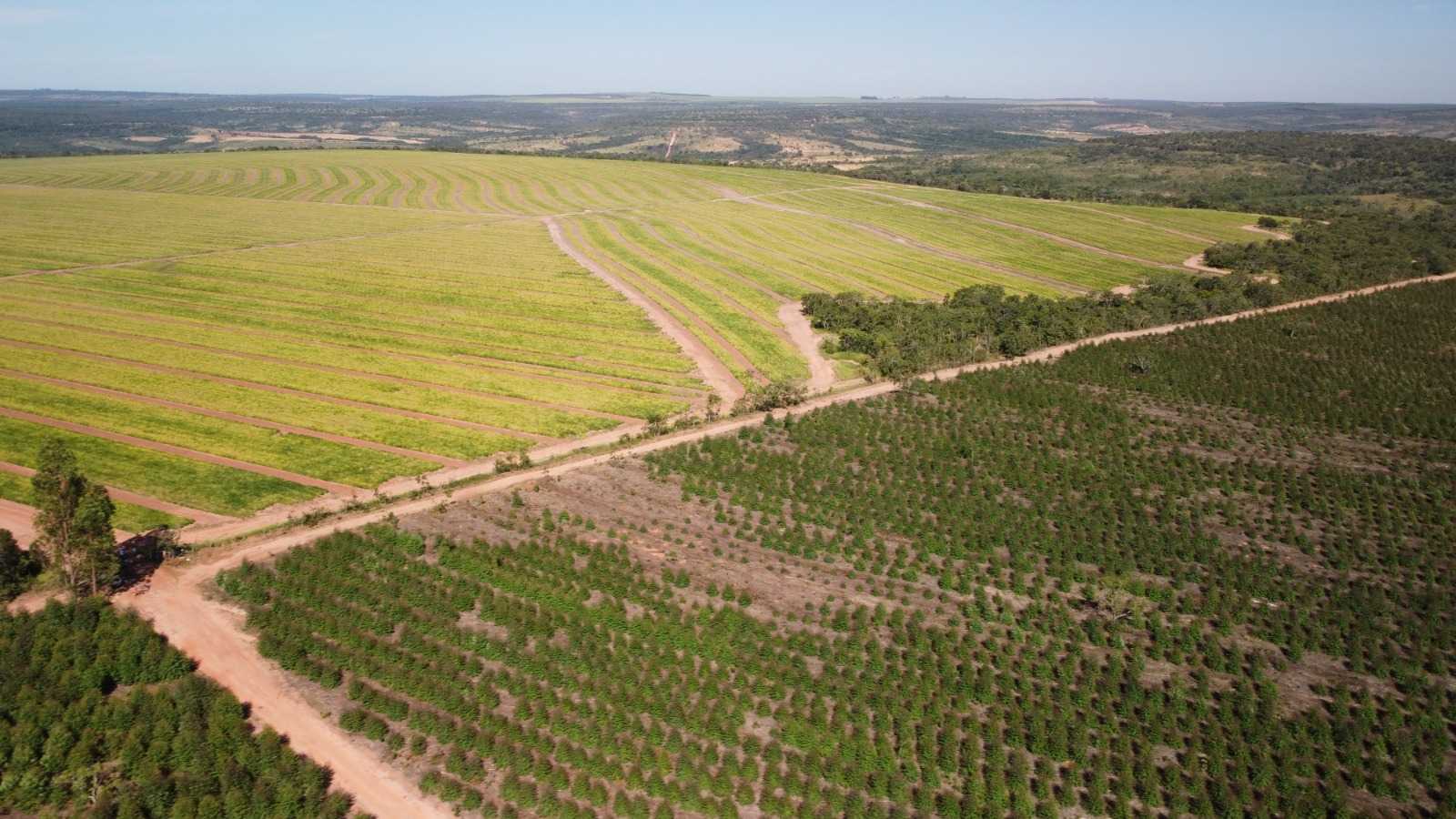 Fazenda à venda com 1 quarto, 26m² - Foto 3
