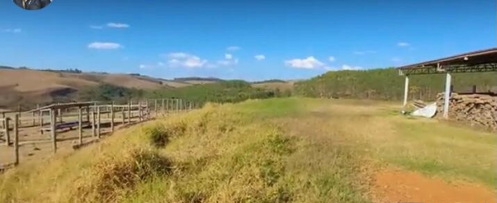 Fazenda à venda com 4 quartos, 1190000m² - Foto 4