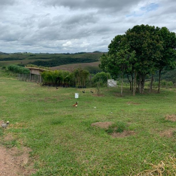 Fazenda à venda com 4 quartos, 1190000m² - Foto 15