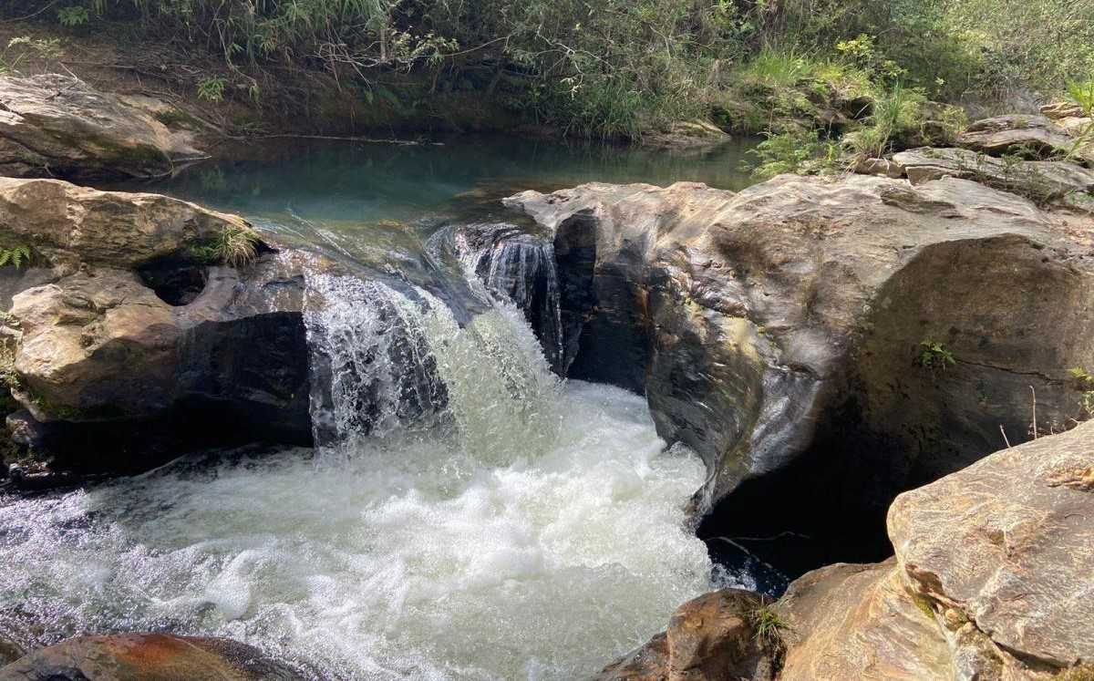 Fazenda à venda com 4 quartos, 1190000m² - Foto 22