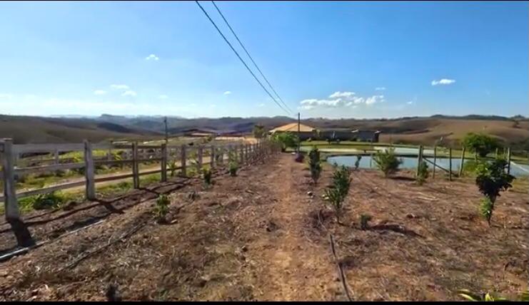Fazenda à venda com 4 quartos, 1190000m² - Foto 9