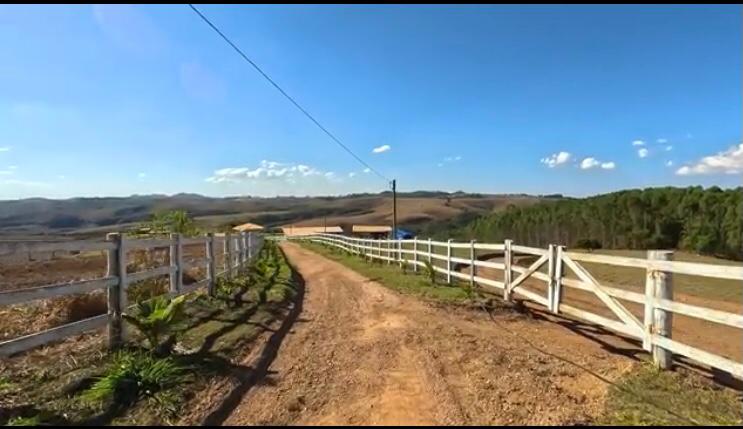 Fazenda à venda com 4 quartos, 1190000m² - Foto 2