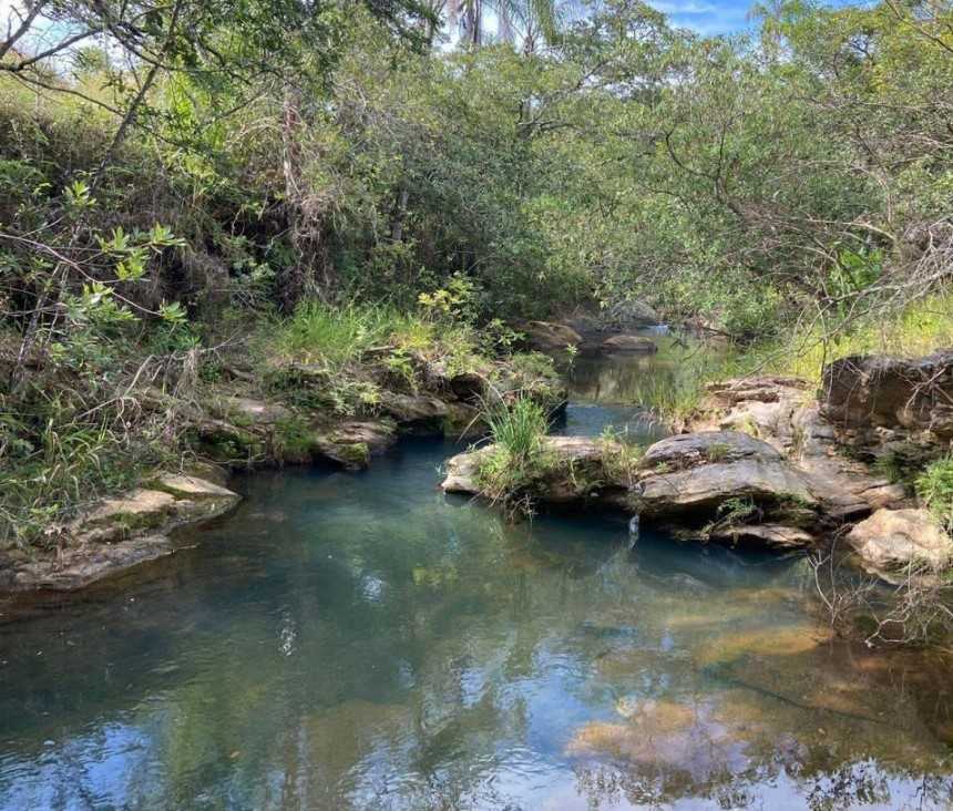 Fazenda à venda com 4 quartos, 1190000m² - Foto 23