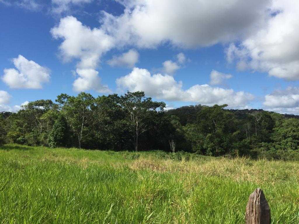 Fazenda à venda com 5 quartos, 1800000m² - Foto 8