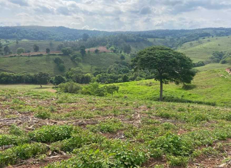 Fazenda à venda com 3 quartos, 3010000m² - Foto 19