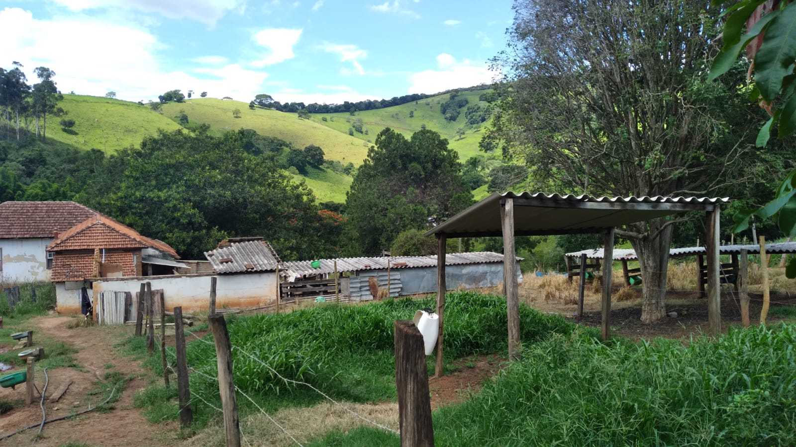 Fazenda à venda com 3 quartos, 3010000m² - Foto 10