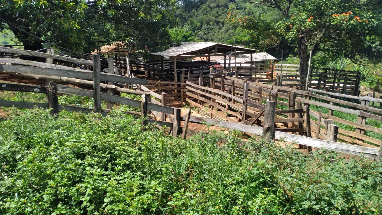 Fazenda à venda com 3 quartos, 3010000m² - Foto 11