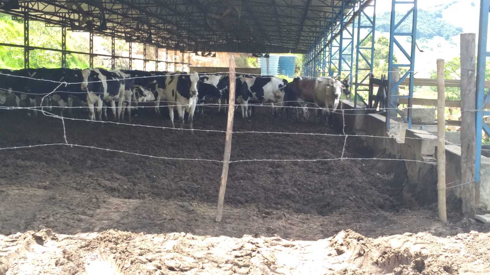 Fazenda à venda com 3 quartos, 3010000m² - Foto 4