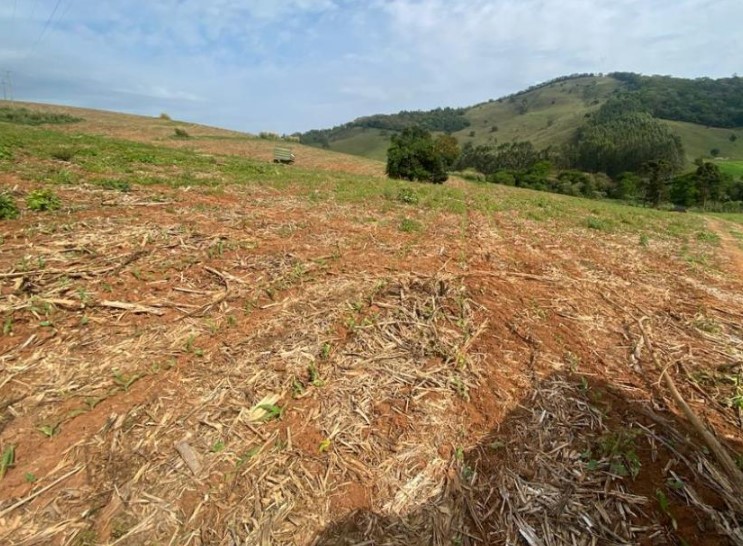 Fazenda à venda com 3 quartos, 3010000m² - Foto 21