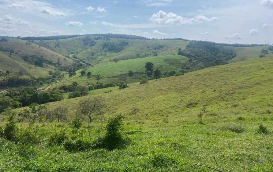 Fazenda à venda com 3 quartos, 3010000m² - Foto 22