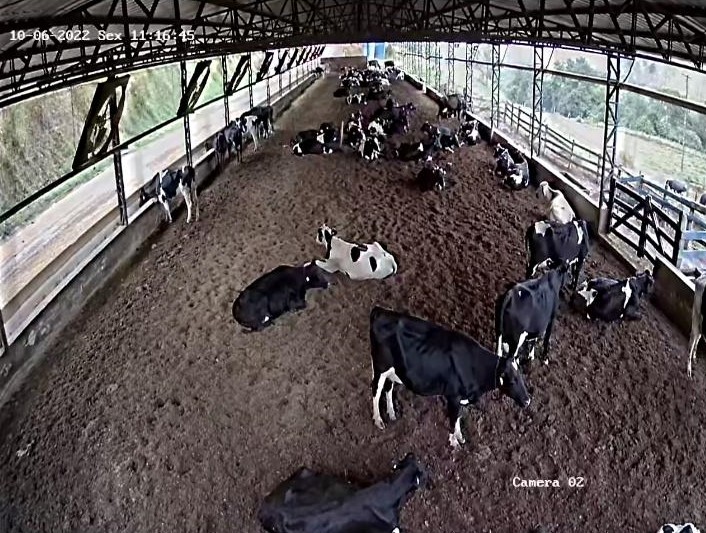 Fazenda à venda com 3 quartos, 3010000m² - Foto 1
