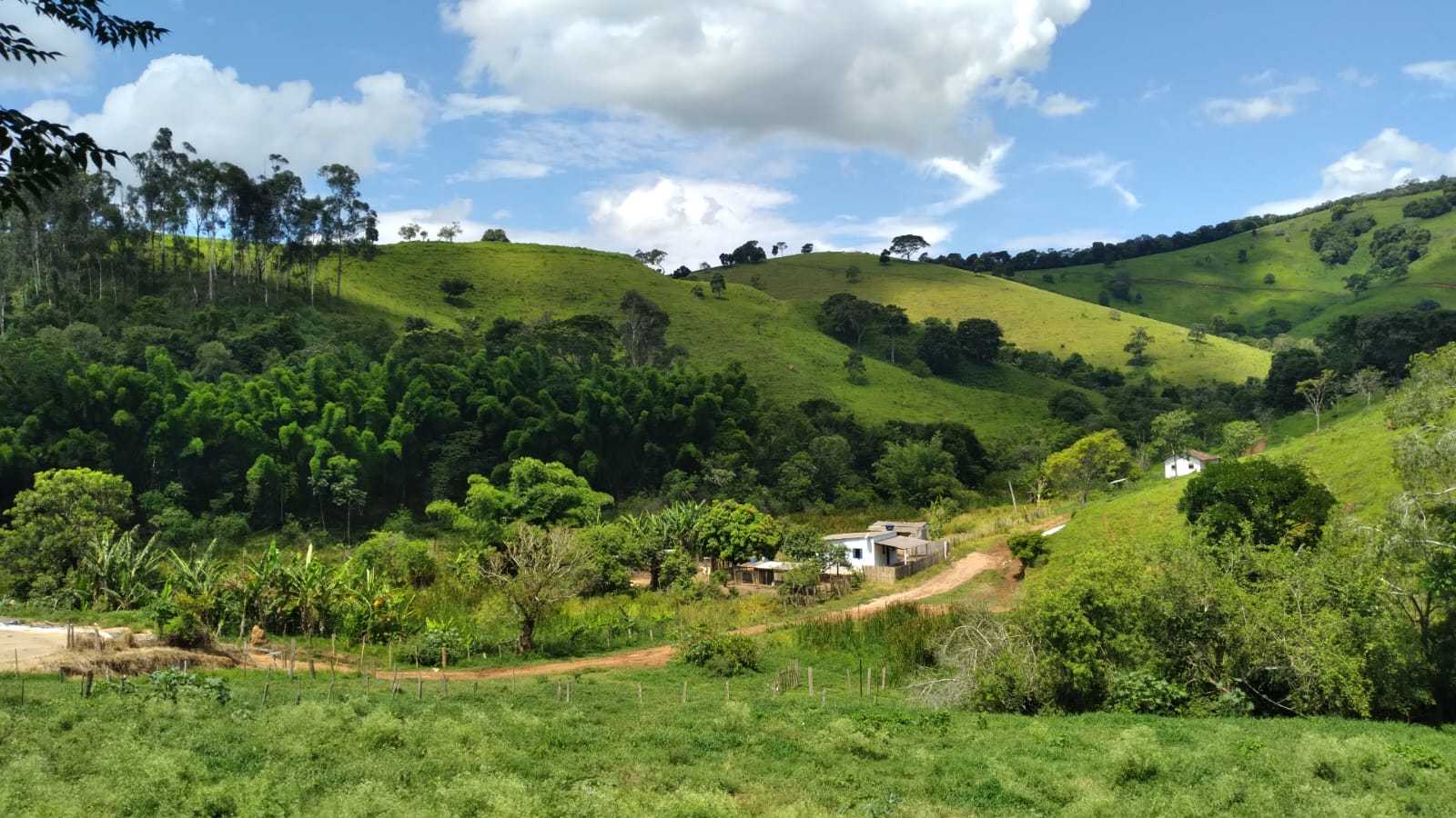 Fazenda à venda com 3 quartos, 3010000m² - Foto 23