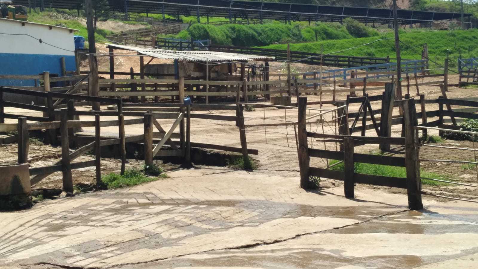 Fazenda à venda com 3 quartos, 3010000m² - Foto 9