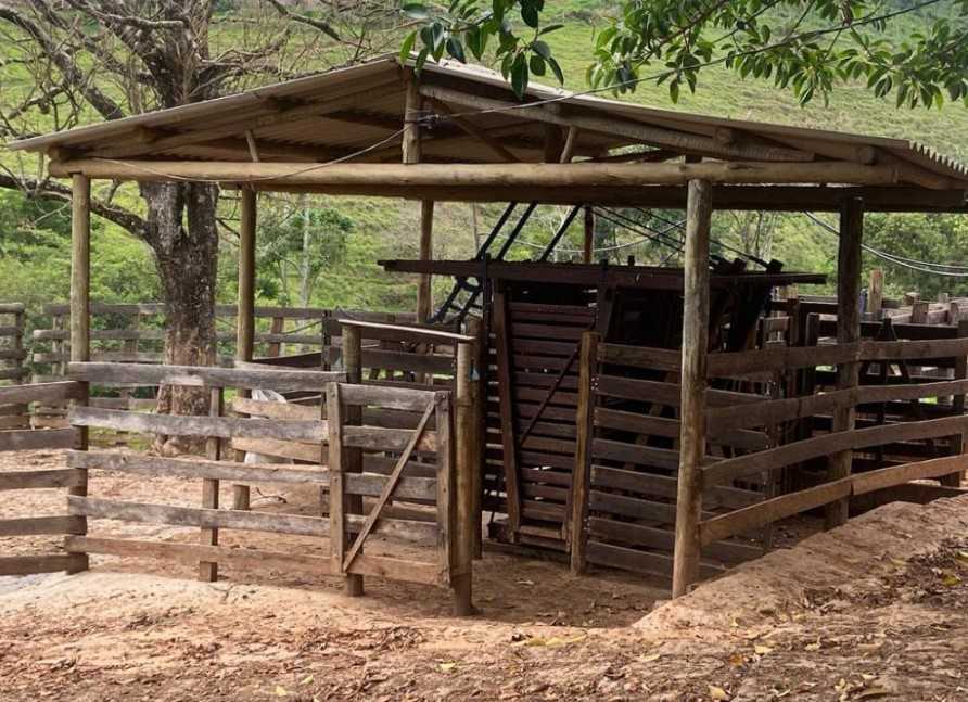 Fazenda à venda com 3 quartos, 3010000m² - Foto 7