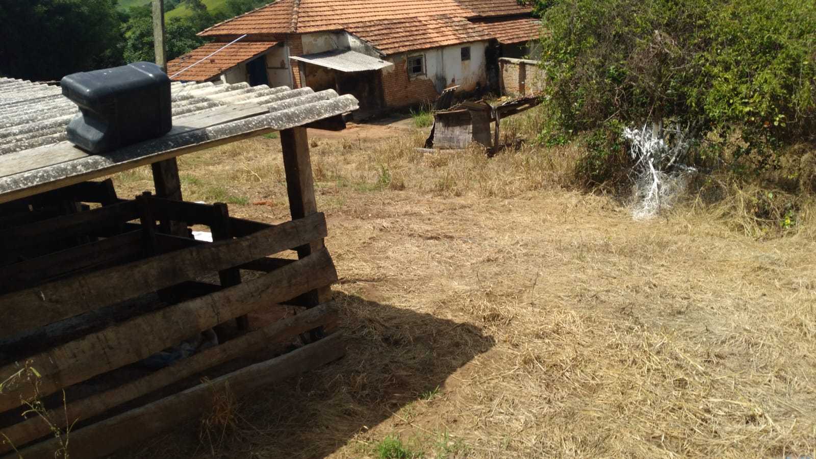 Fazenda à venda com 3 quartos, 3010000m² - Foto 12