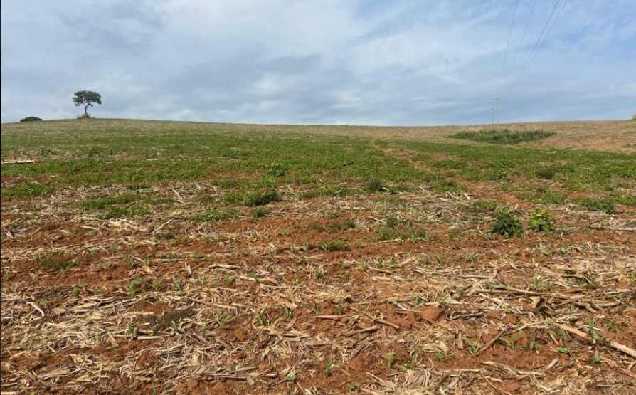 Fazenda à venda com 3 quartos, 3010000m² - Foto 25
