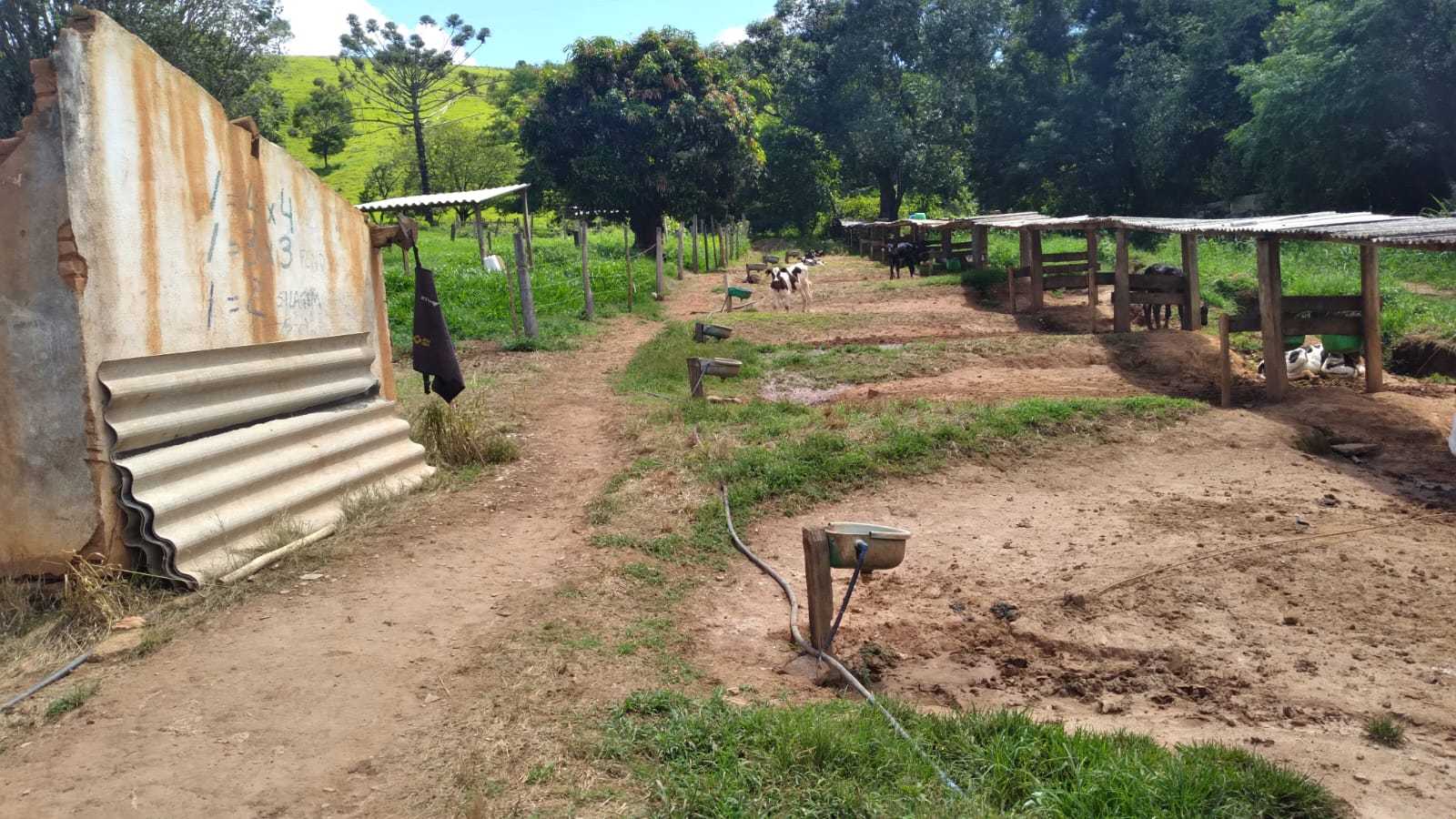 Fazenda à venda com 3 quartos, 3010000m² - Foto 14
