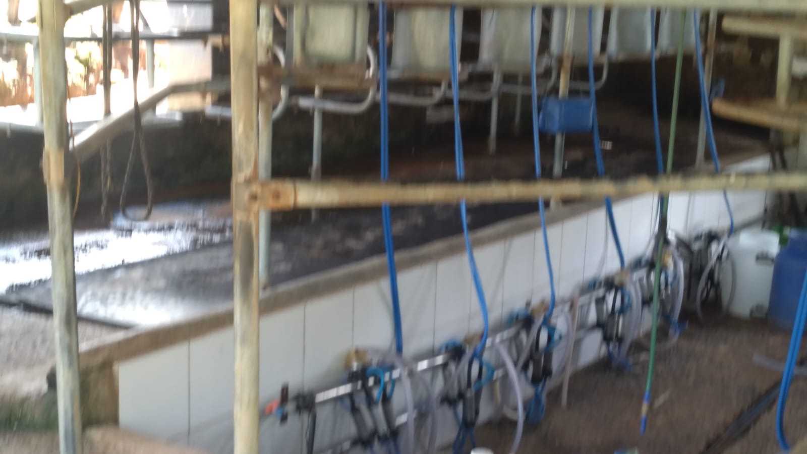 Fazenda à venda com 3 quartos, 3010000m² - Foto 15