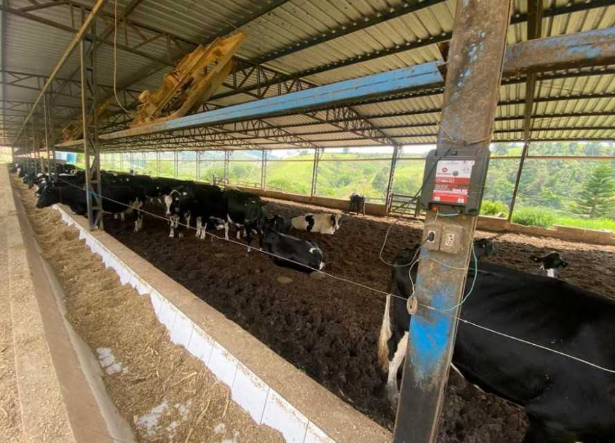 Fazenda à venda com 3 quartos, 3010000m² - Foto 3