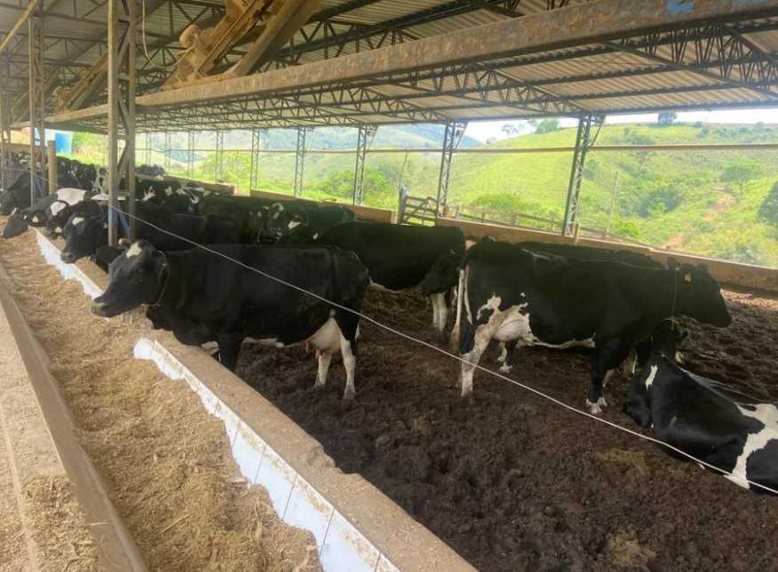Fazenda à venda com 3 quartos, 3010000m² - Foto 2