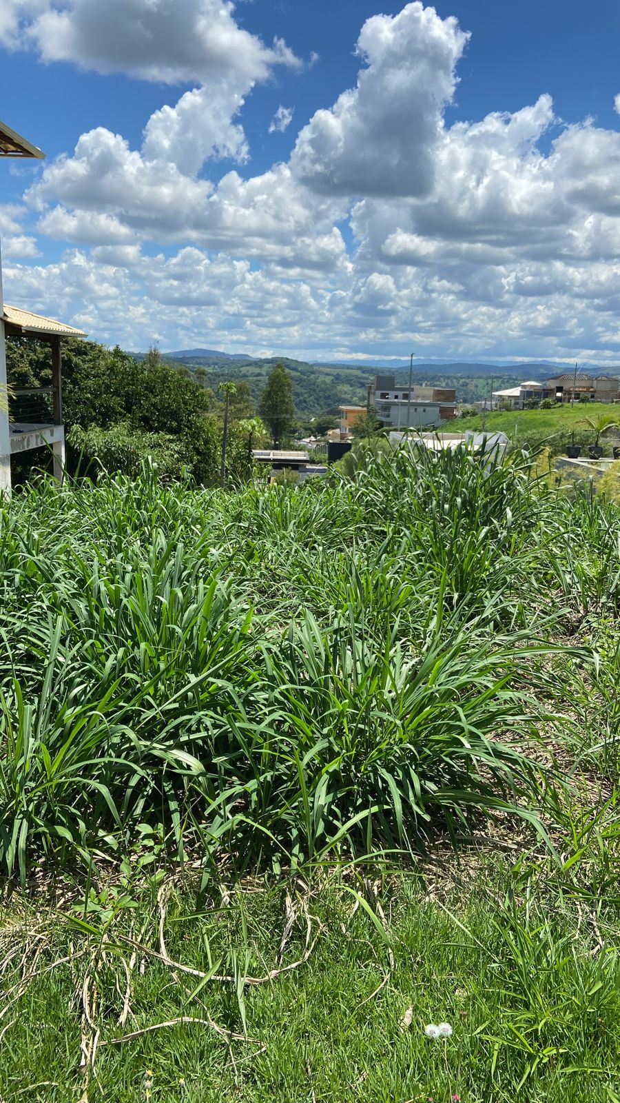 Terreno à venda, 405m² - Foto 3