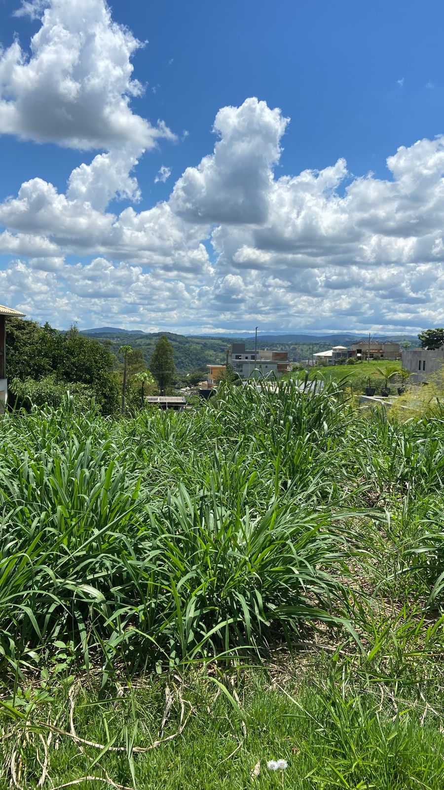 Terreno à venda, 405m² - Foto 4