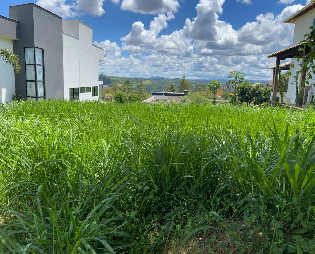 Terreno à venda, 405m² - Foto 2