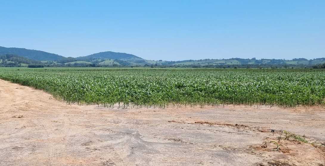 Fazenda à venda com 1 quarto, 2010000m² - Foto 6
