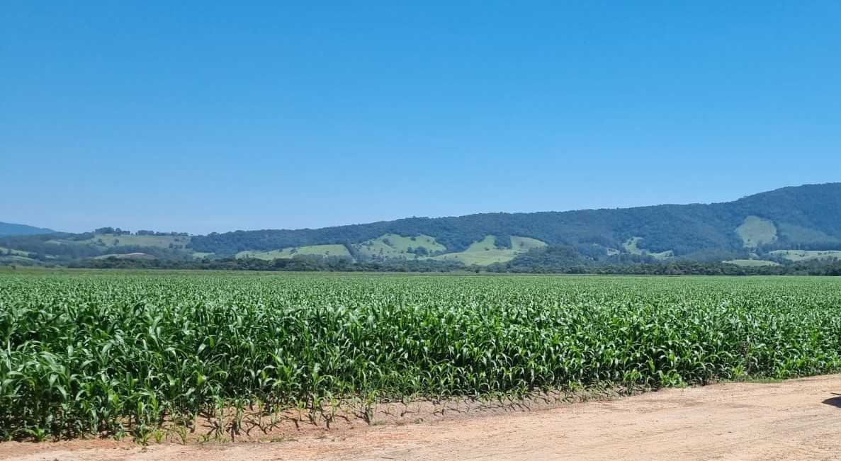 Fazenda à venda com 1 quarto, 2010000m² - Foto 4