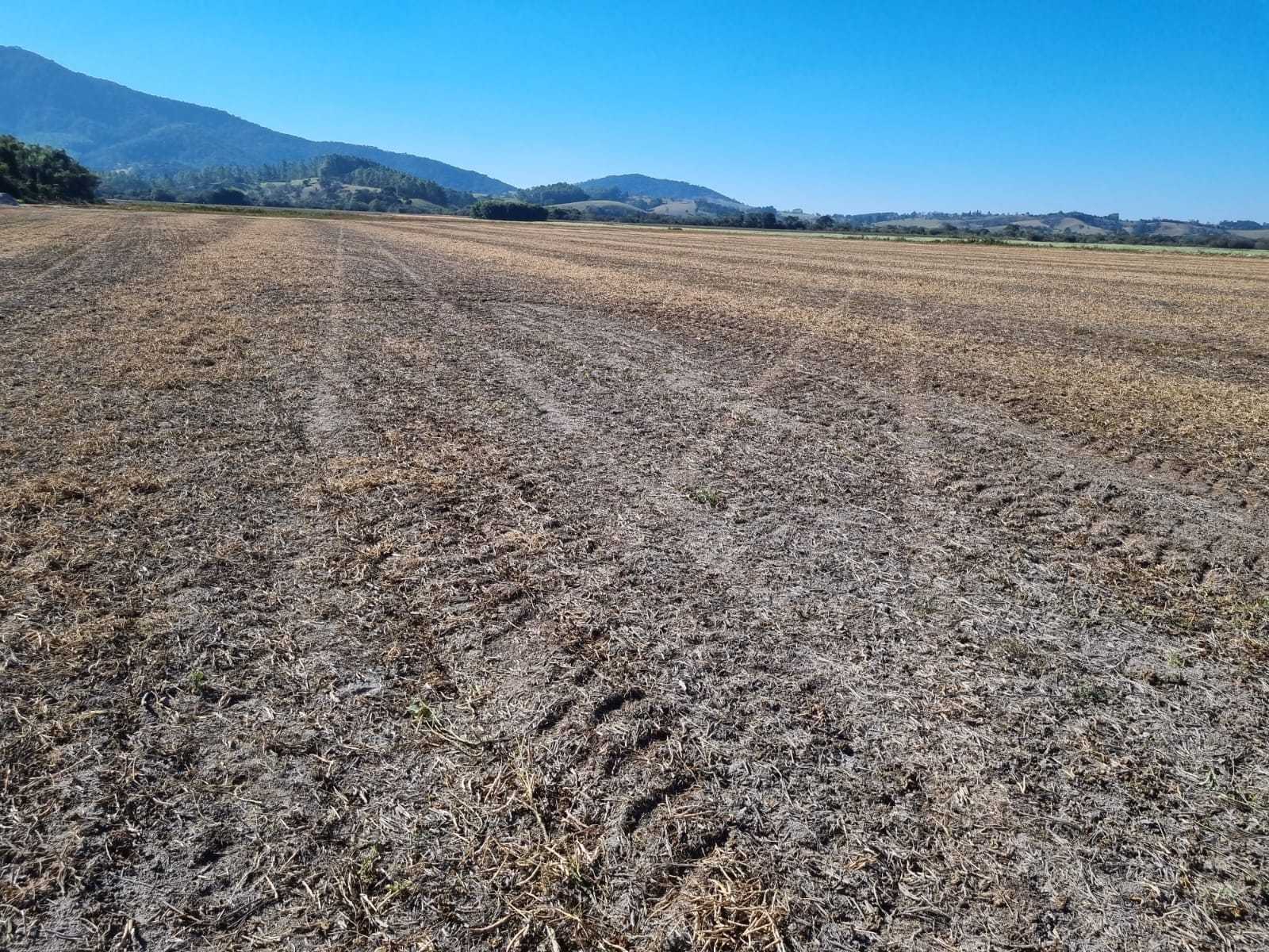 Fazenda à venda com 1 quarto, 2010000m² - Foto 18