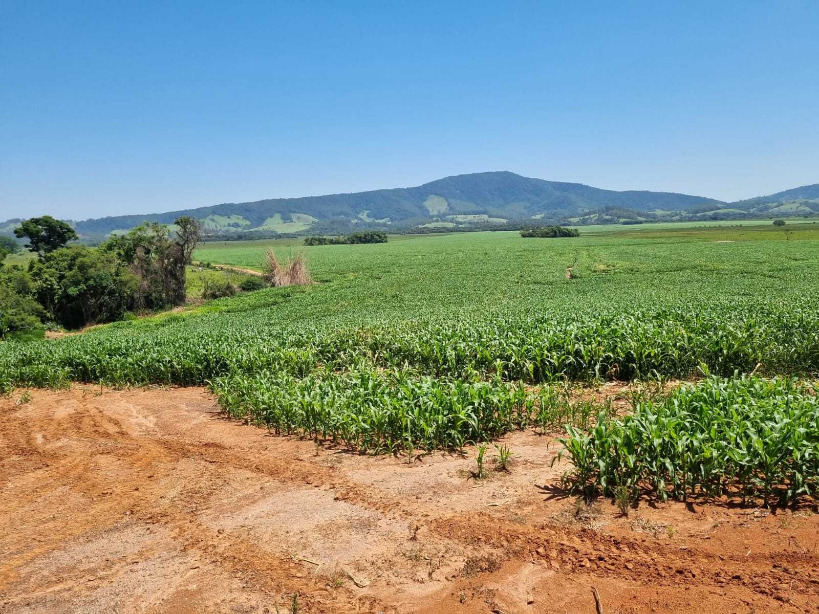 Fazenda à venda com 1 quarto, 2010000m² - Foto 2