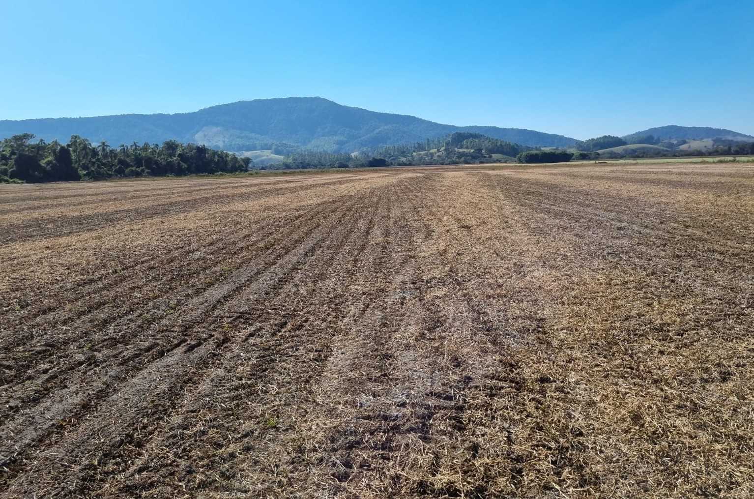 Fazenda à venda com 1 quarto, 2010000m² - Foto 21