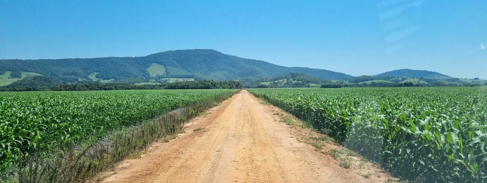 Fazenda à venda com 1 quarto, 2010000m² - Foto 10