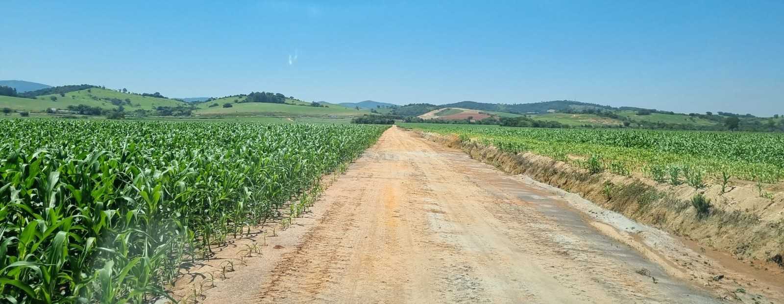Fazenda à venda com 1 quarto, 2010000m² - Foto 9
