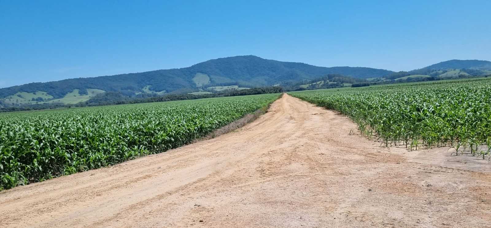 Fazenda à venda com 1 quarto, 2010000m² - Foto 15