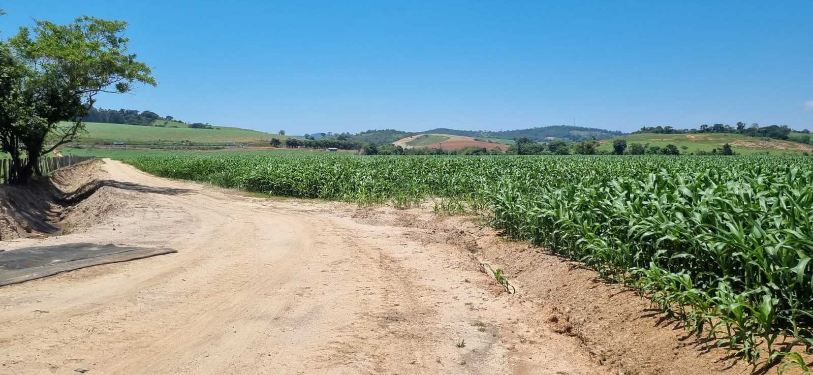 Fazenda à venda com 1 quarto, 2010000m² - Foto 7
