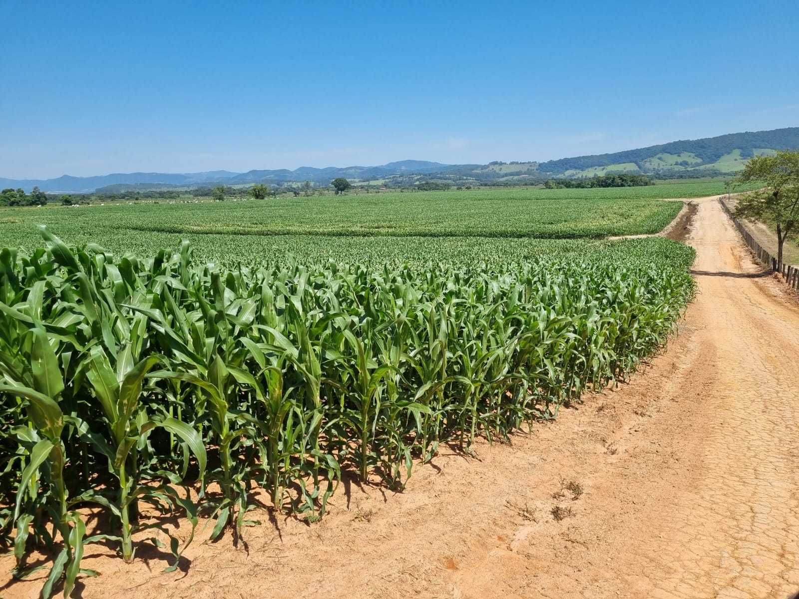 Fazenda à venda com 1 quarto, 2010000m² - Foto 16