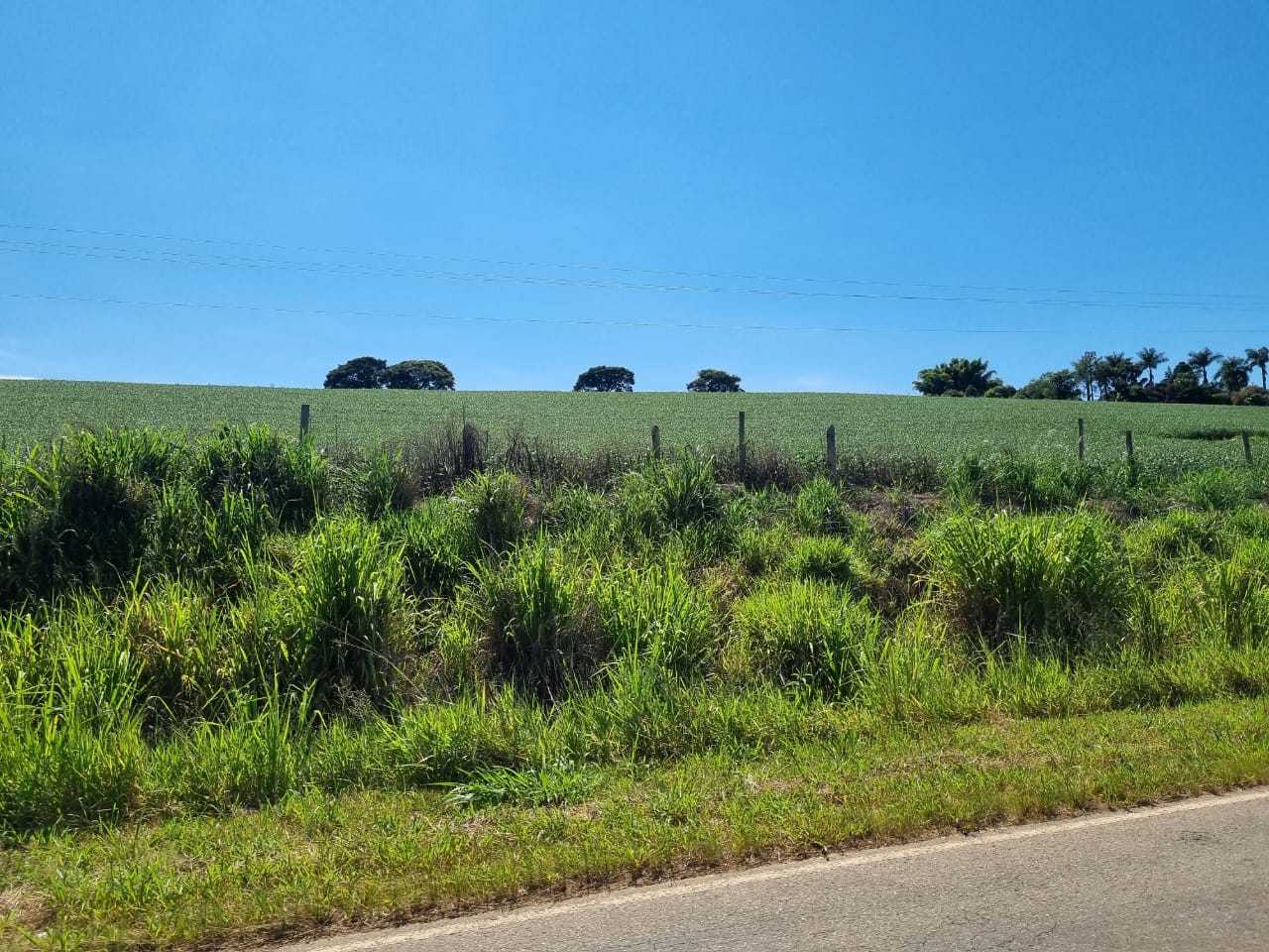 Fazenda à venda com 4 quartos, 1452000m² - Foto 12