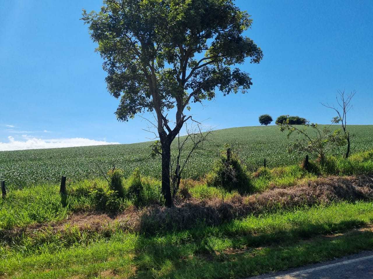 Fazenda à venda com 4 quartos, 1452000m² - Foto 11