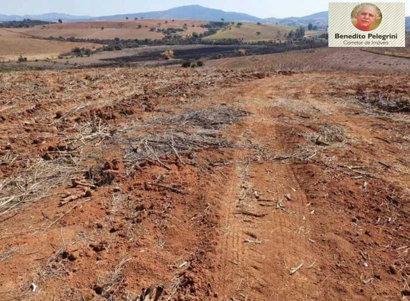 Fazenda à venda com 4 quartos, 1452000m² - Foto 23