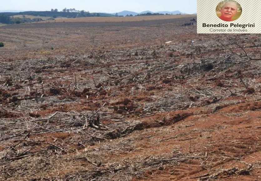 Fazenda à venda com 4 quartos, 1452000m² - Foto 18