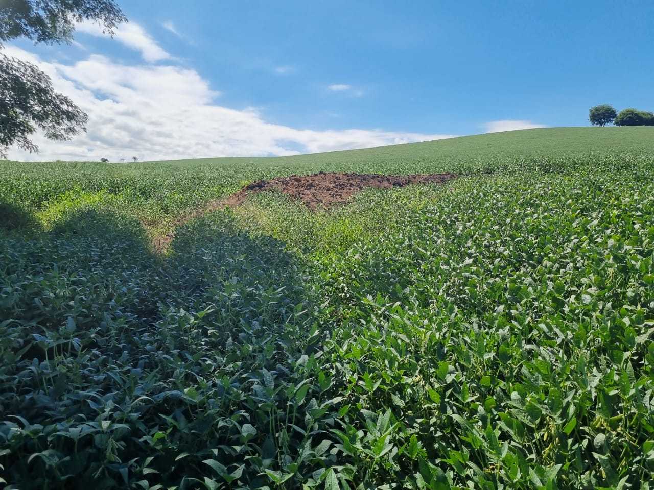 Fazenda à venda com 4 quartos, 1452000m² - Foto 3