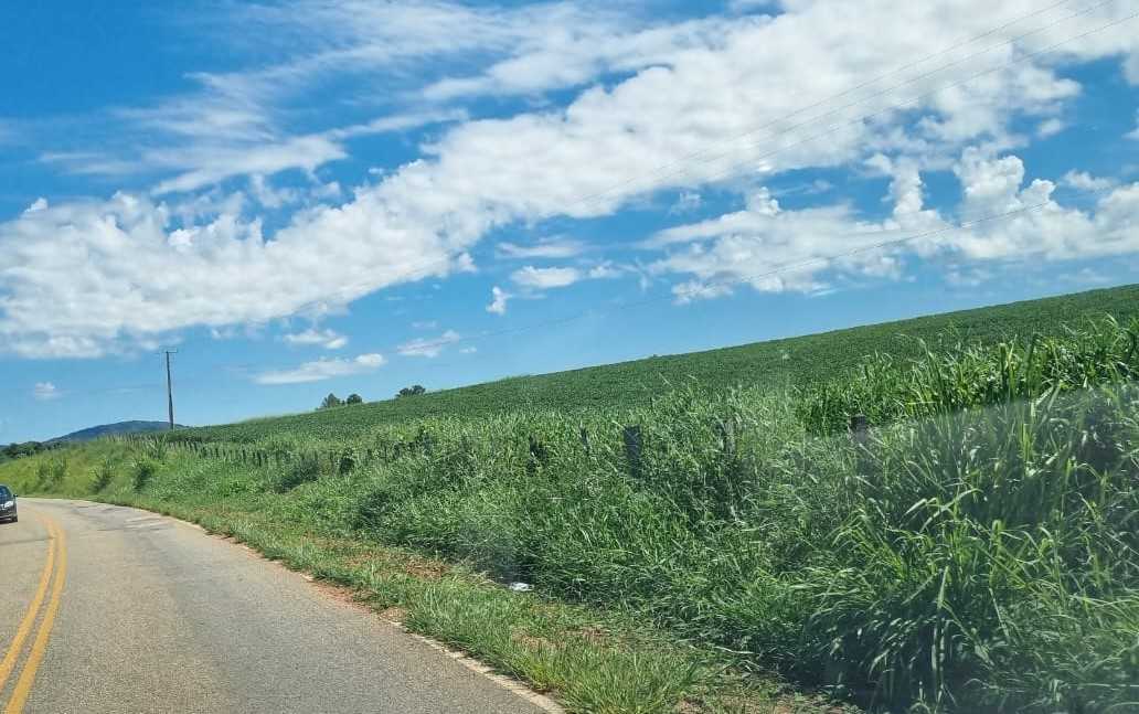 Fazenda à venda com 4 quartos, 1452000m² - Foto 6
