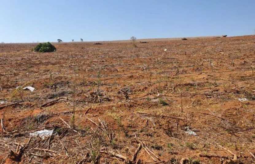 Fazenda à venda com 4 quartos, 1452000m² - Foto 19