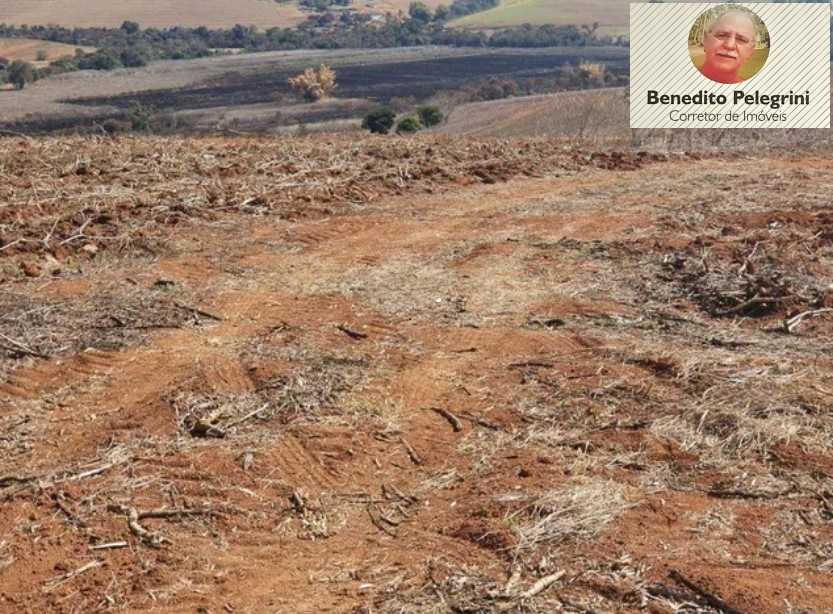 Fazenda à venda com 4 quartos, 1452000m² - Foto 22