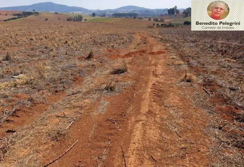 Fazenda à venda com 4 quartos, 1452000m² - Foto 21