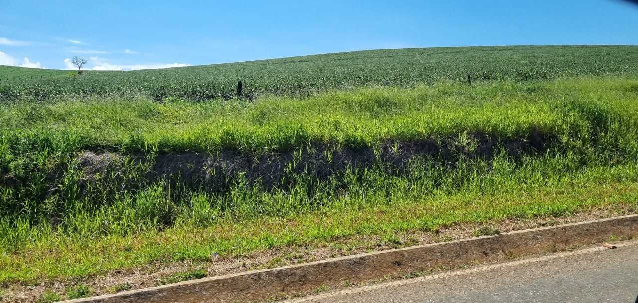 Fazenda à venda com 4 quartos, 1452000m² - Foto 14